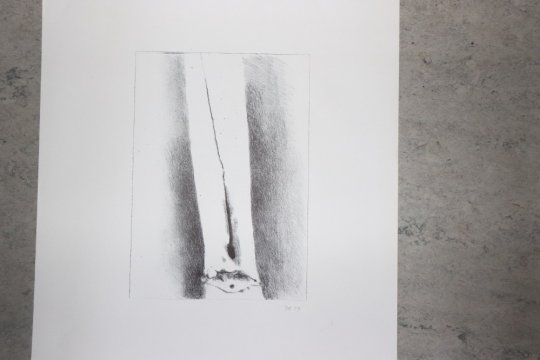 Signeret litografisk tryk