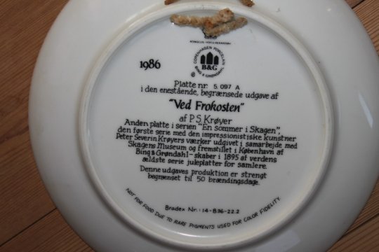 Skagen platte B&G